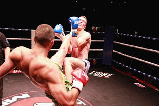 米兰体育足球-巴勒莫再胜对手，晋级下一轮重要战斗，巴勒莫队