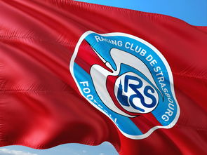 米兰体育app官网-丹麦主场大胜乌克兰，继续保持不败