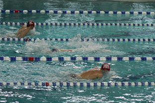 米兰体育-中国游泳运动员世锦赛接力项目表现抢眼，中国游泳接力夺金